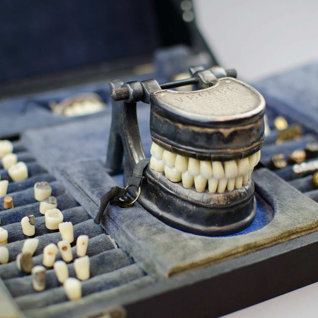 French VECABE Dental Model