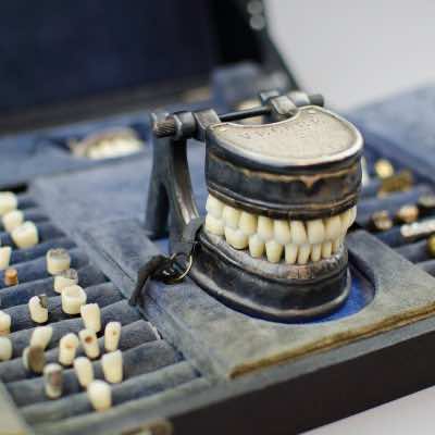 French VECABE Dental Model