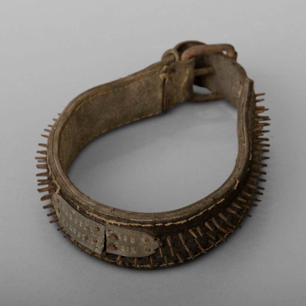 Late 19th Century Molosser’s leather Collar