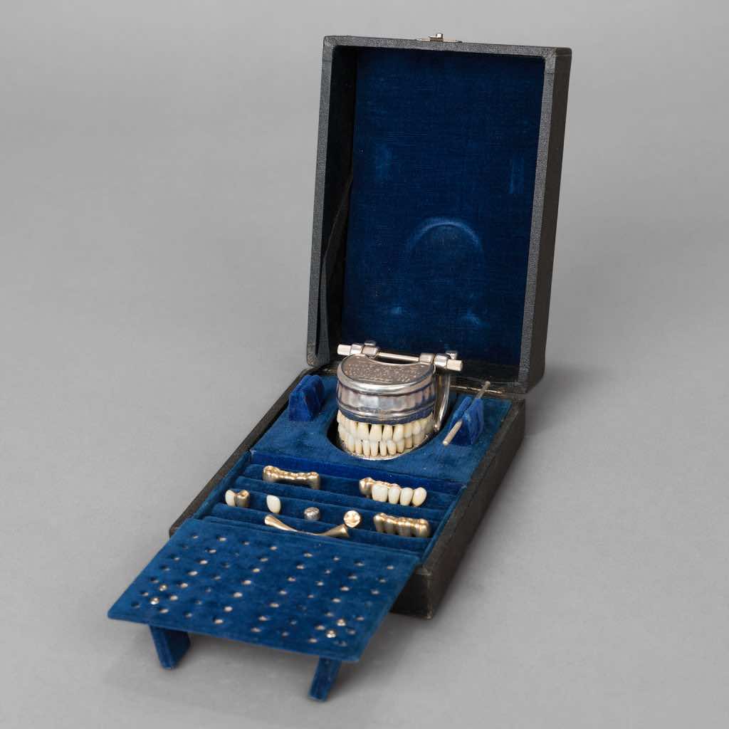 French VECABE Dental Model