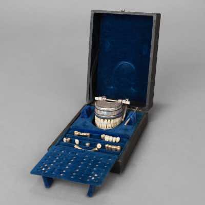 French VECABE Dental Model
