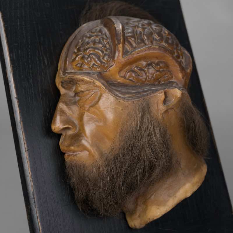 Modèle anatomique en cire, circa 1880 – Image 4