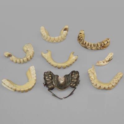 Early XIXth C. Hippopotamus Ivory Dental Prosthesis