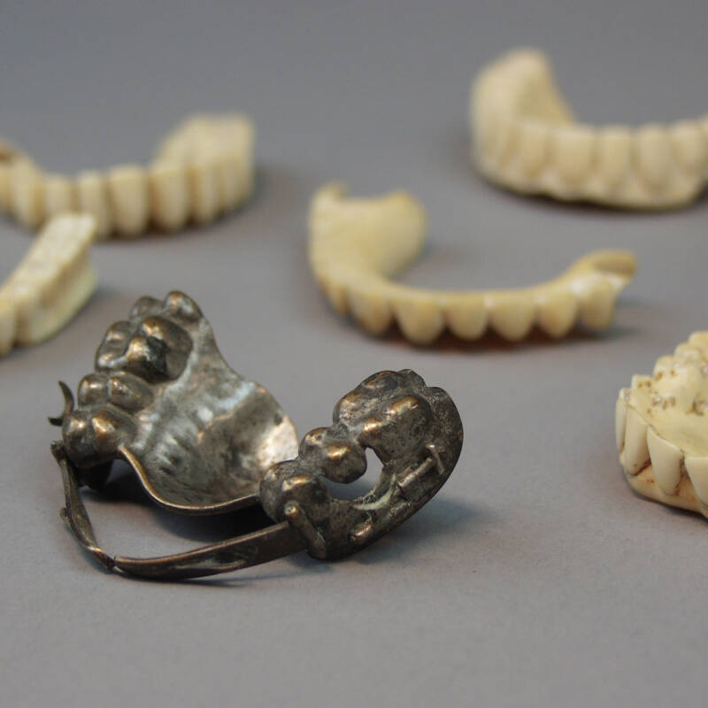 Early XIXth C. Hippopotamus Ivory Dental Prosthesis - Image 4