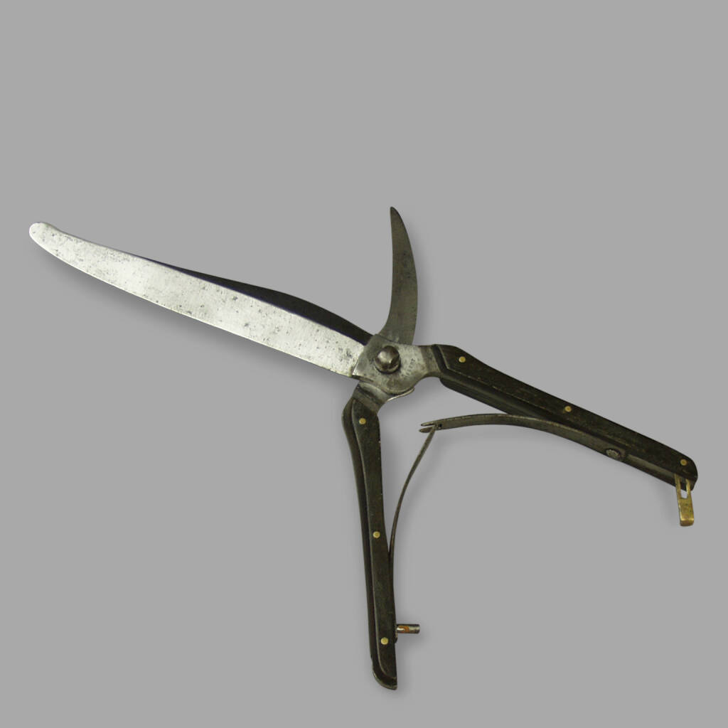XIXth C. Forensic Secateurs